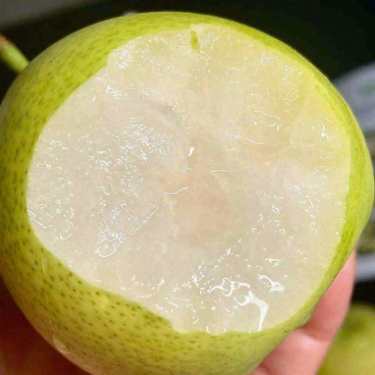 【小时达】千脆蜜梨2斤