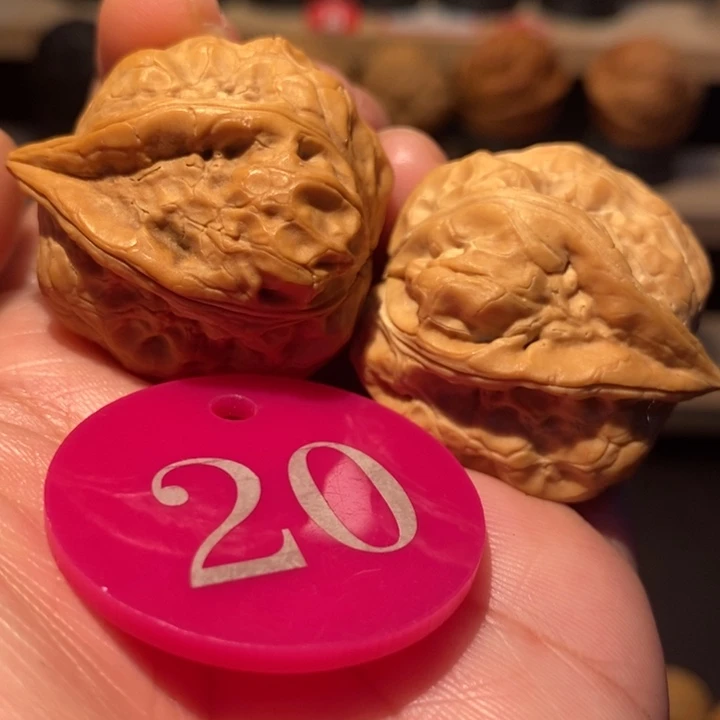 木质类生命元34尺寸