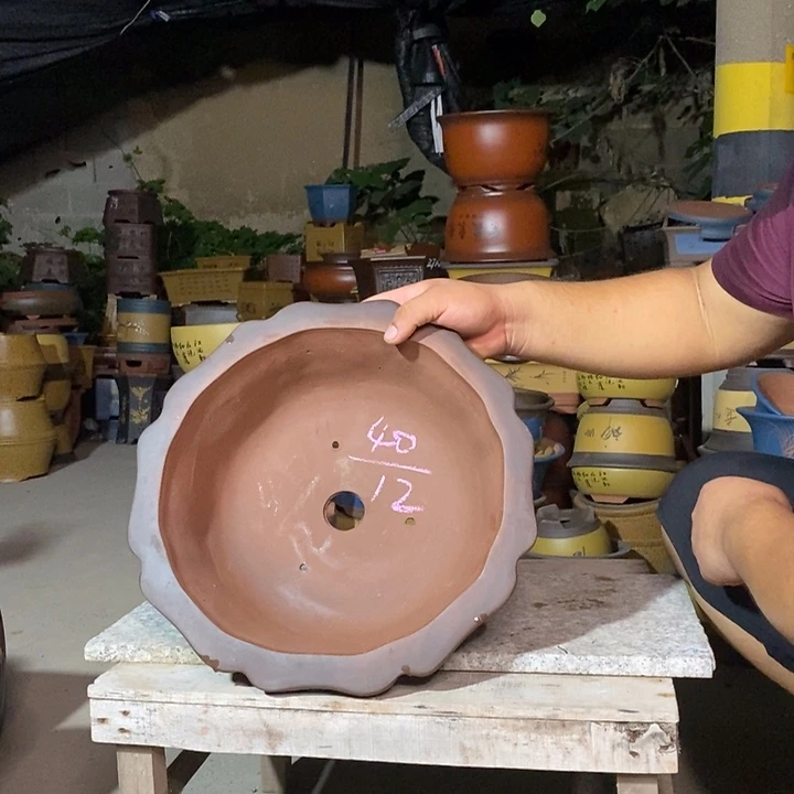 紫砂紫砂紫砂紫砂