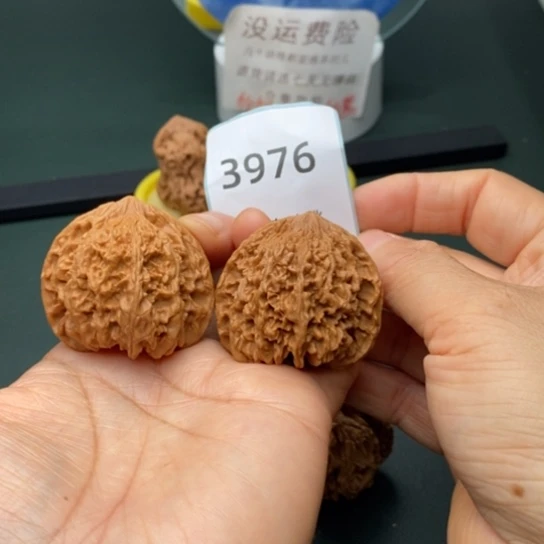 把件文玩核桃42满天星3976