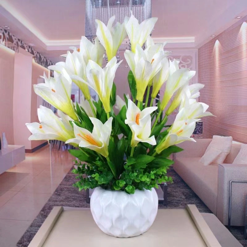 【种球发货】四季开花耐寒耐热花卉室内外高档家庭盆栽阳台植物