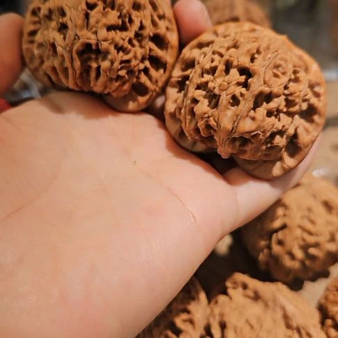 文玩核桃吊坠50水龙