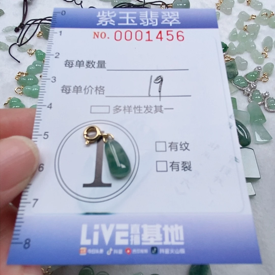 翡翠未镶嵌颈饰x****a冰透飘花随行