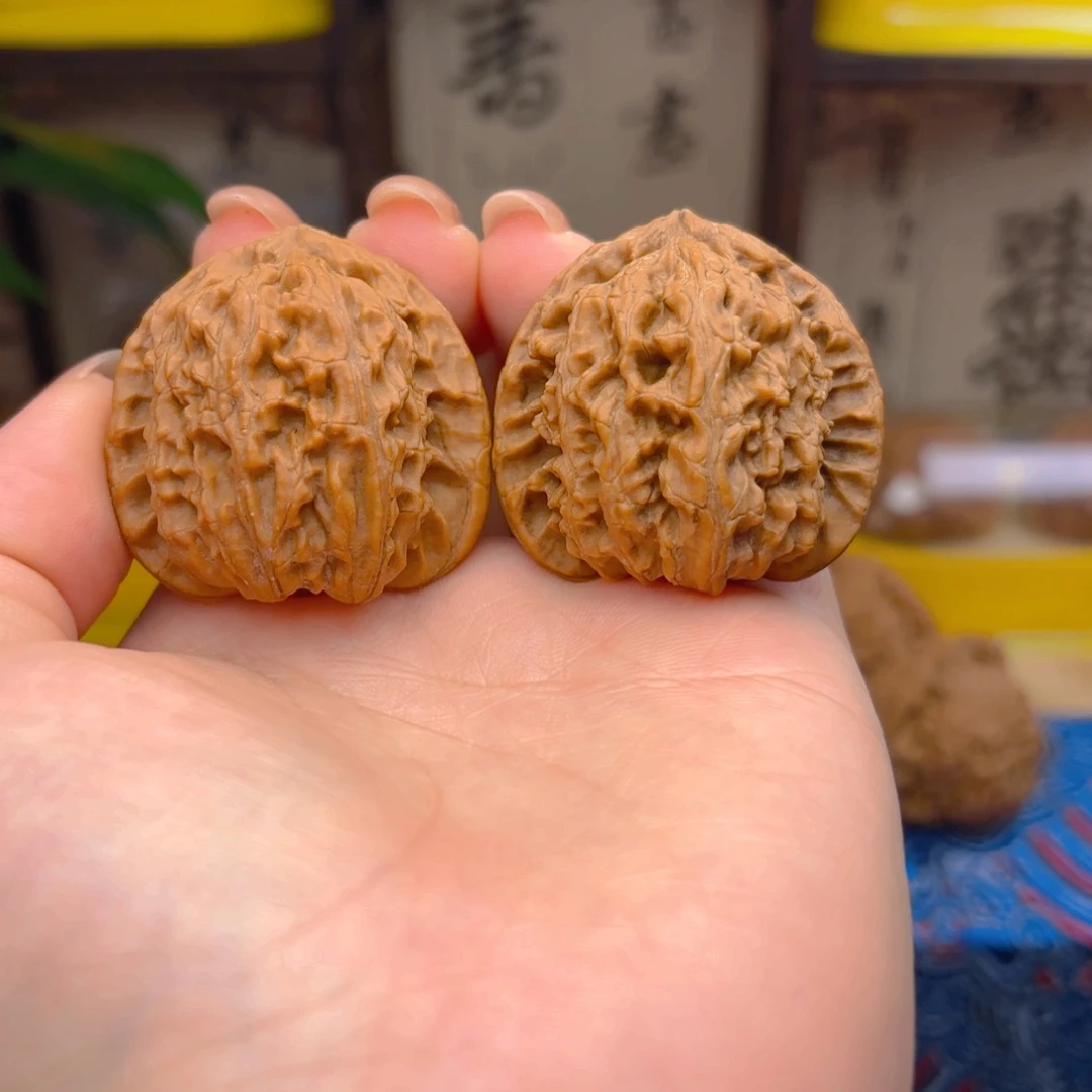 白狮子头三十九尺
