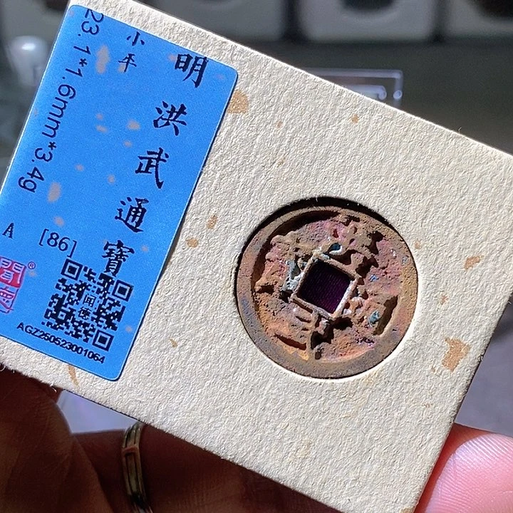 铜洪武通宝。华夏天玺总店