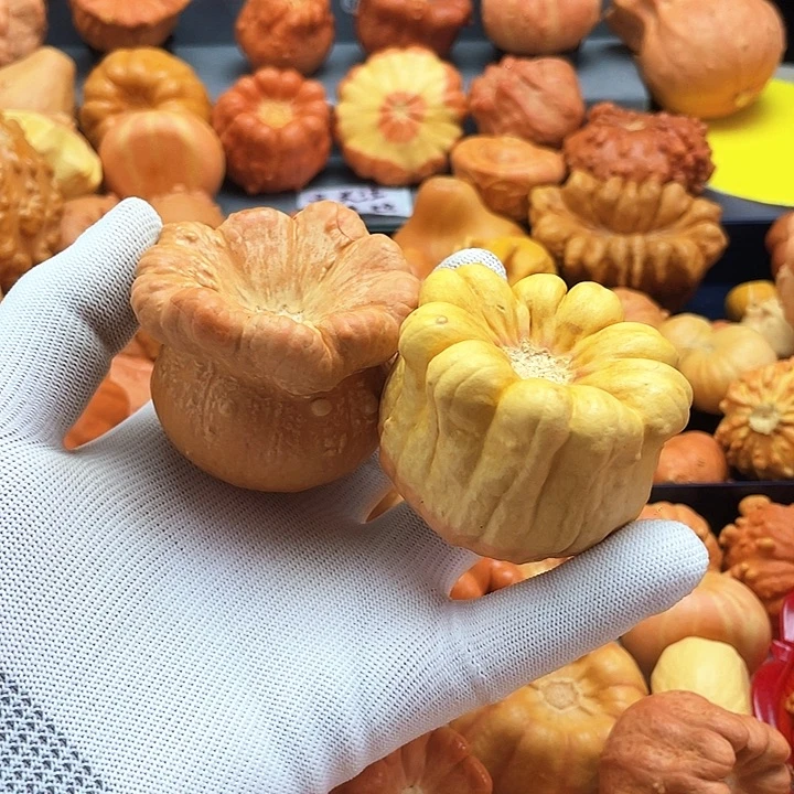 摩***菲墨西哥七彩哥的作品