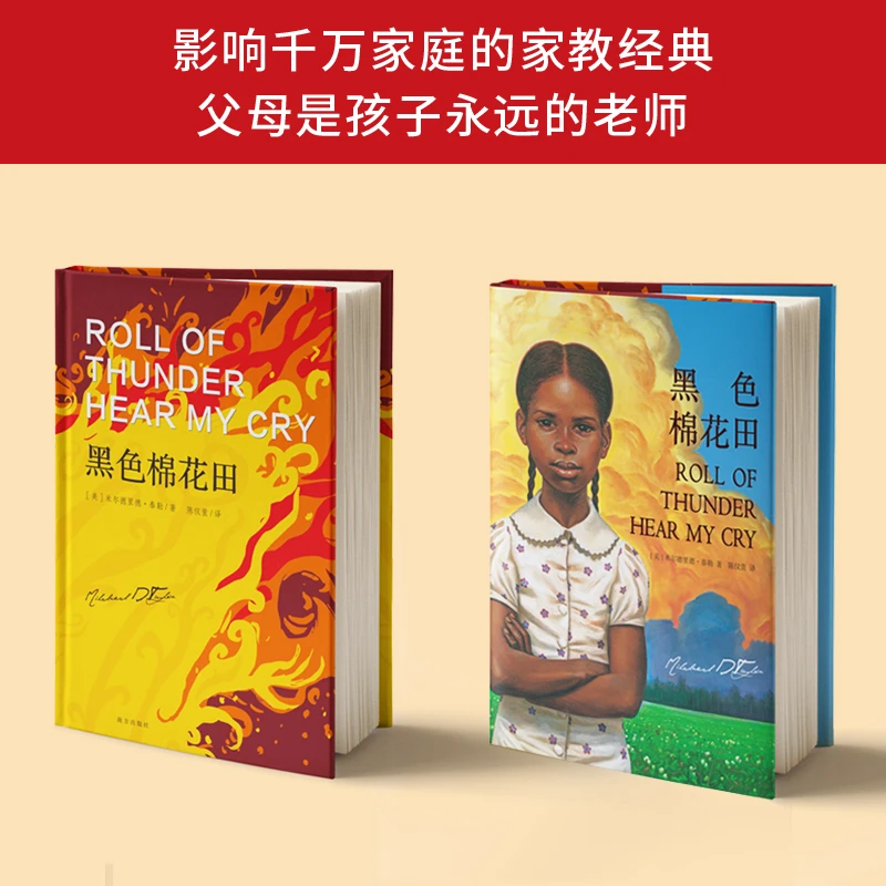 正版童书 黑色棉花田 百年国际大奖小说 纽伯瑞儿童文学奖金奖