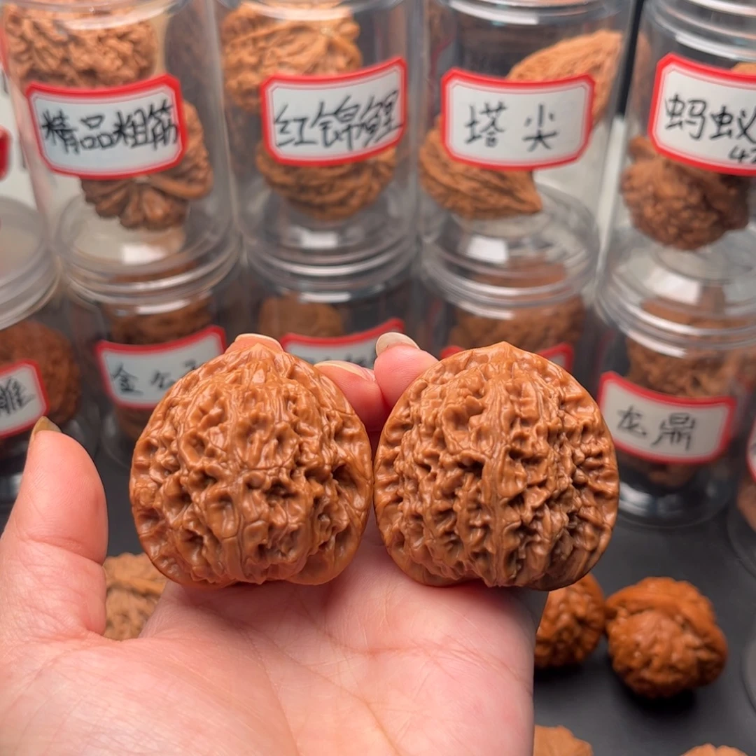 把件文玩核桃44老树水龙纹