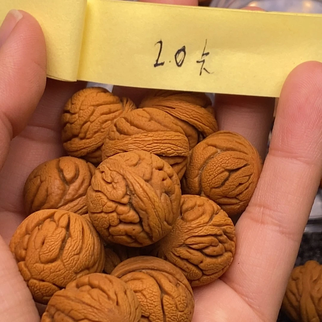 秦岭山脉龙纹桃核 13