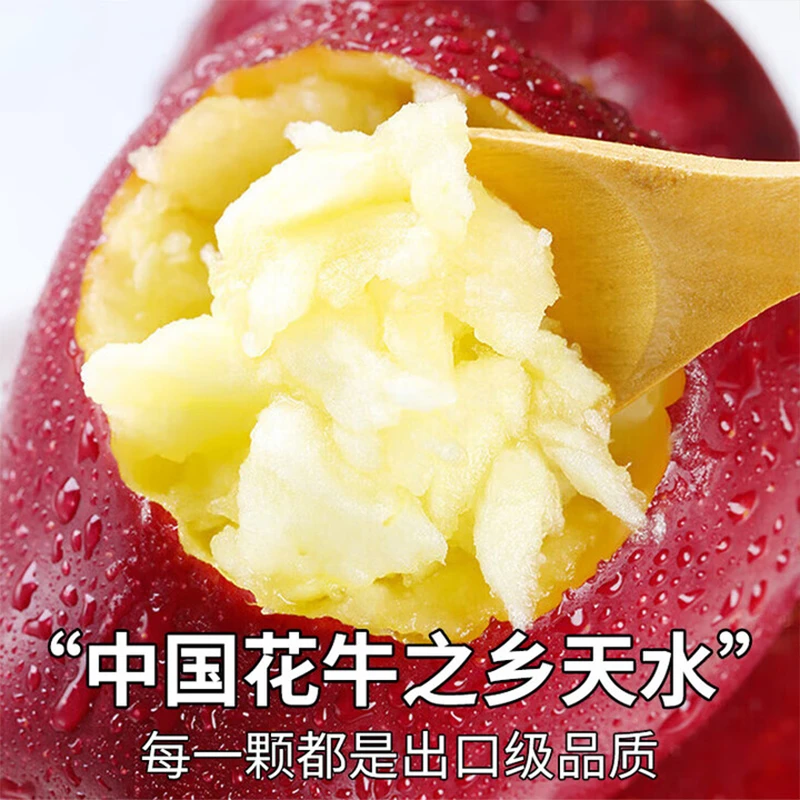 陇新园天水花牛苹果、蛇果可刮果泥做辅食当季新鲜水果!