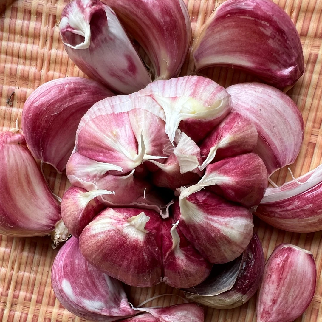 2025年新鲜贵州紫皮大蒜头嫩蒜蔬菜带泥生蒜