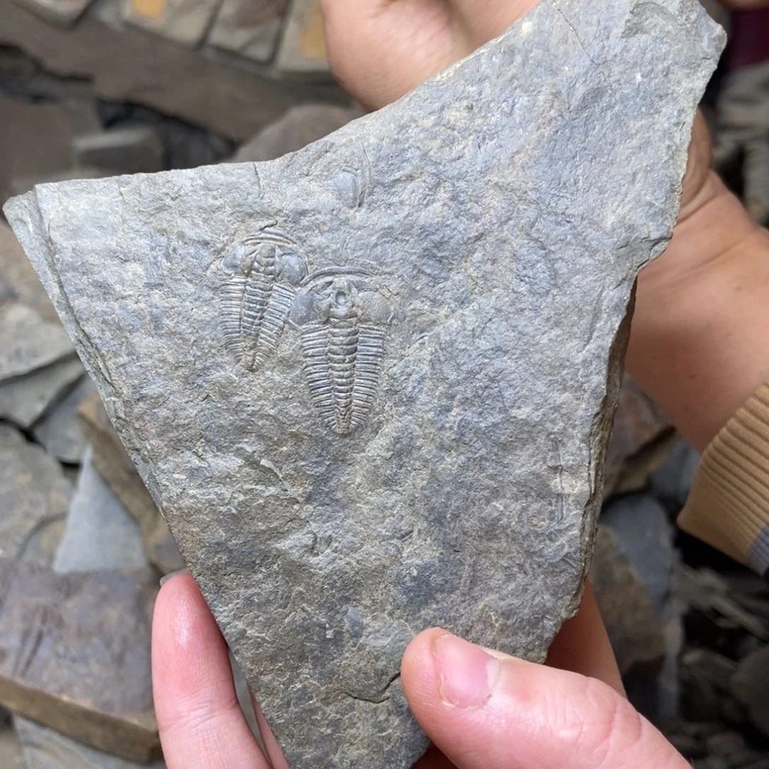 2***2石材11111111111111