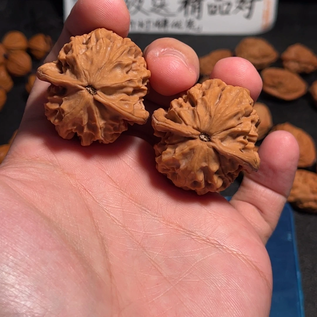 36全品红皮山地小众