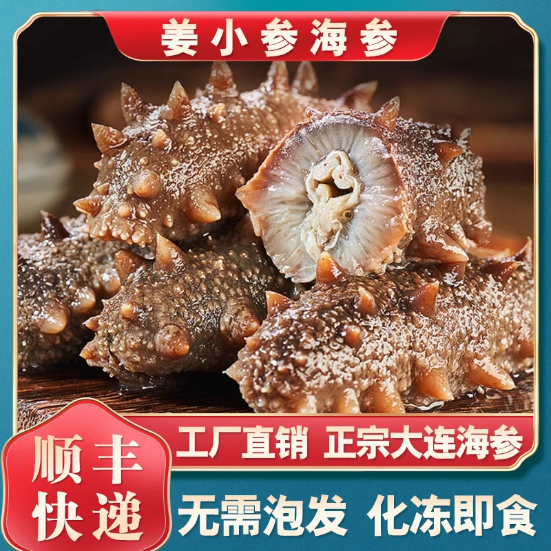 老姜【软硬适中】适合老人小孩8-12头大连深海品质辽刺参即食海参