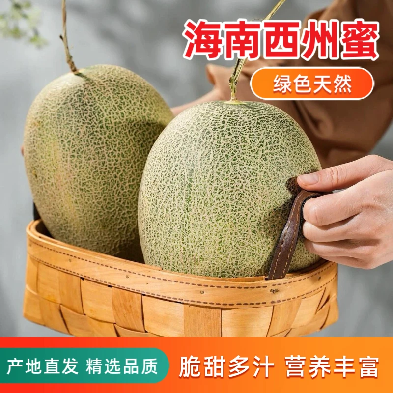 海南西州蜜瓜当季新鲜脆甜网纹瓜多汁水果大果薄皮肉厚哈密甜瓜