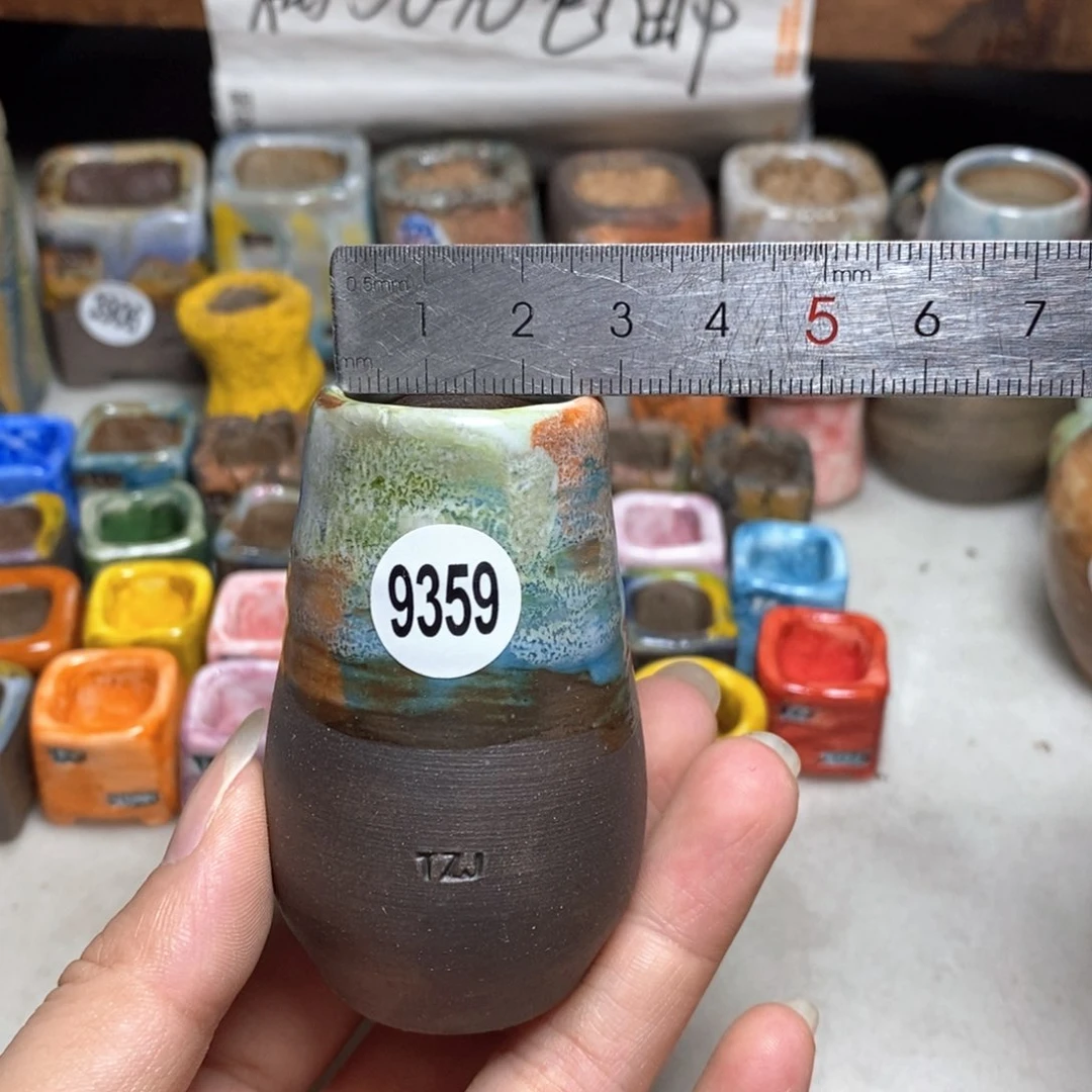 拍5送一个小礼物