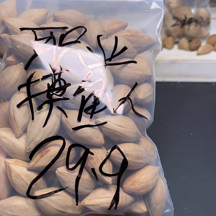 职***人手串/手链橄榄核1111