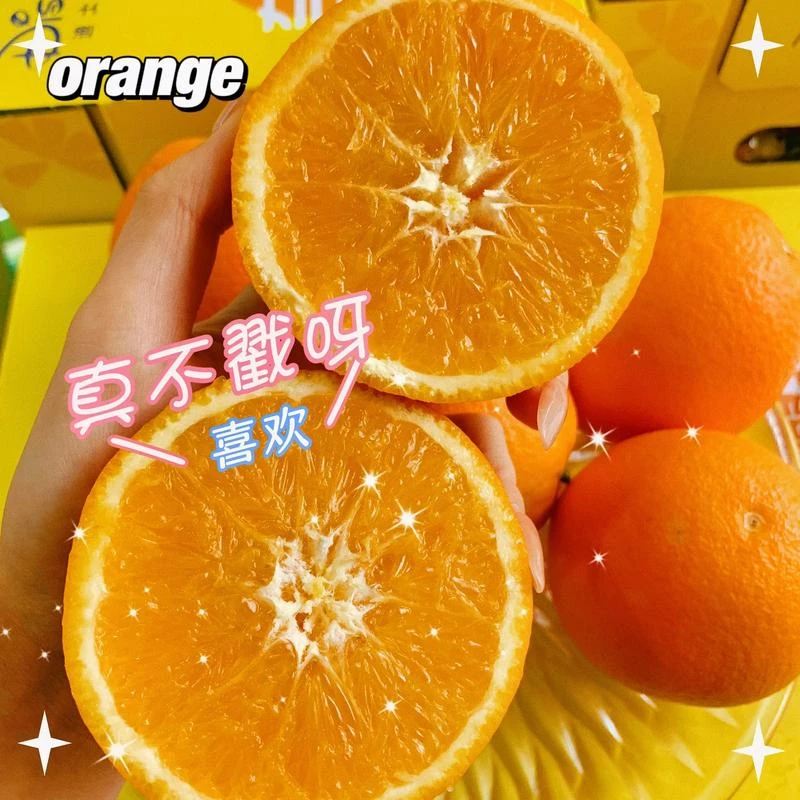 【送礼佳品】迪士尼好奇橙礼盒装/件10斤左右