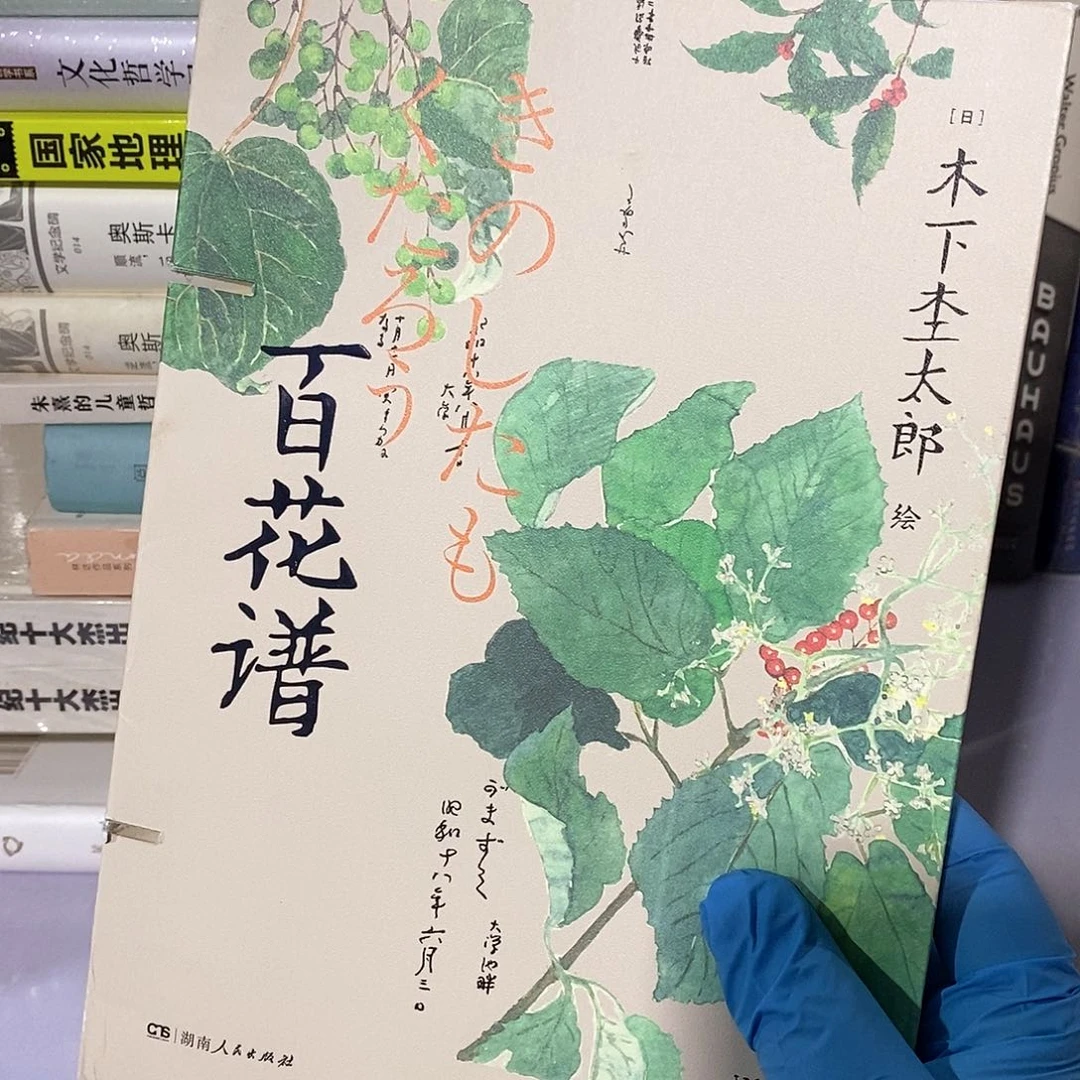 瑕疵锯口  百花谱