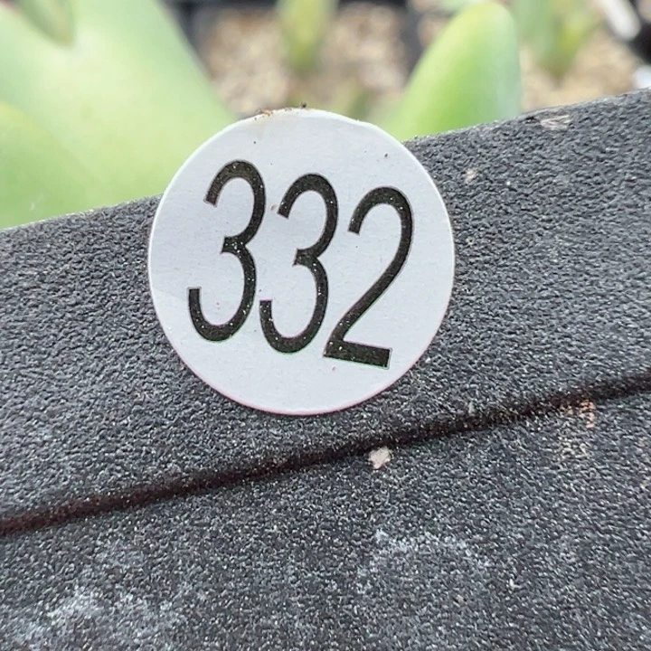 t****破332号111111111111