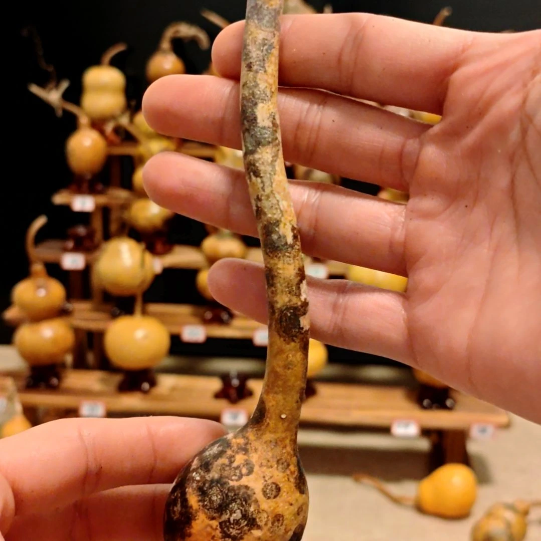 ****肉直播间专拍葫芦葫芦