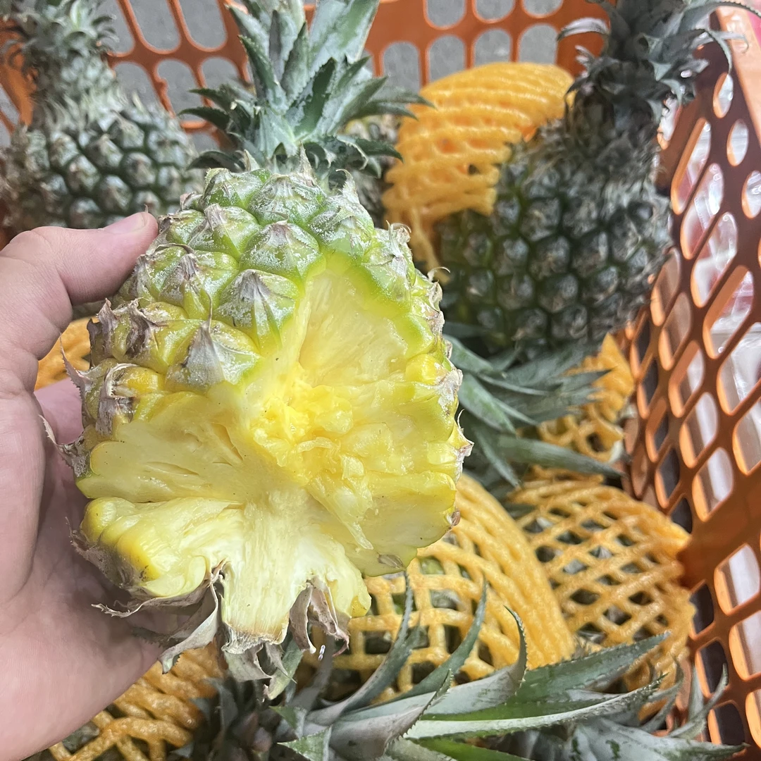 【三颗】【Y】【好吃的手撕凤梨】份/3颗 仅太原六城区榆次可拍