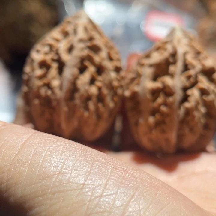 吊坠桃核九哥楸核41