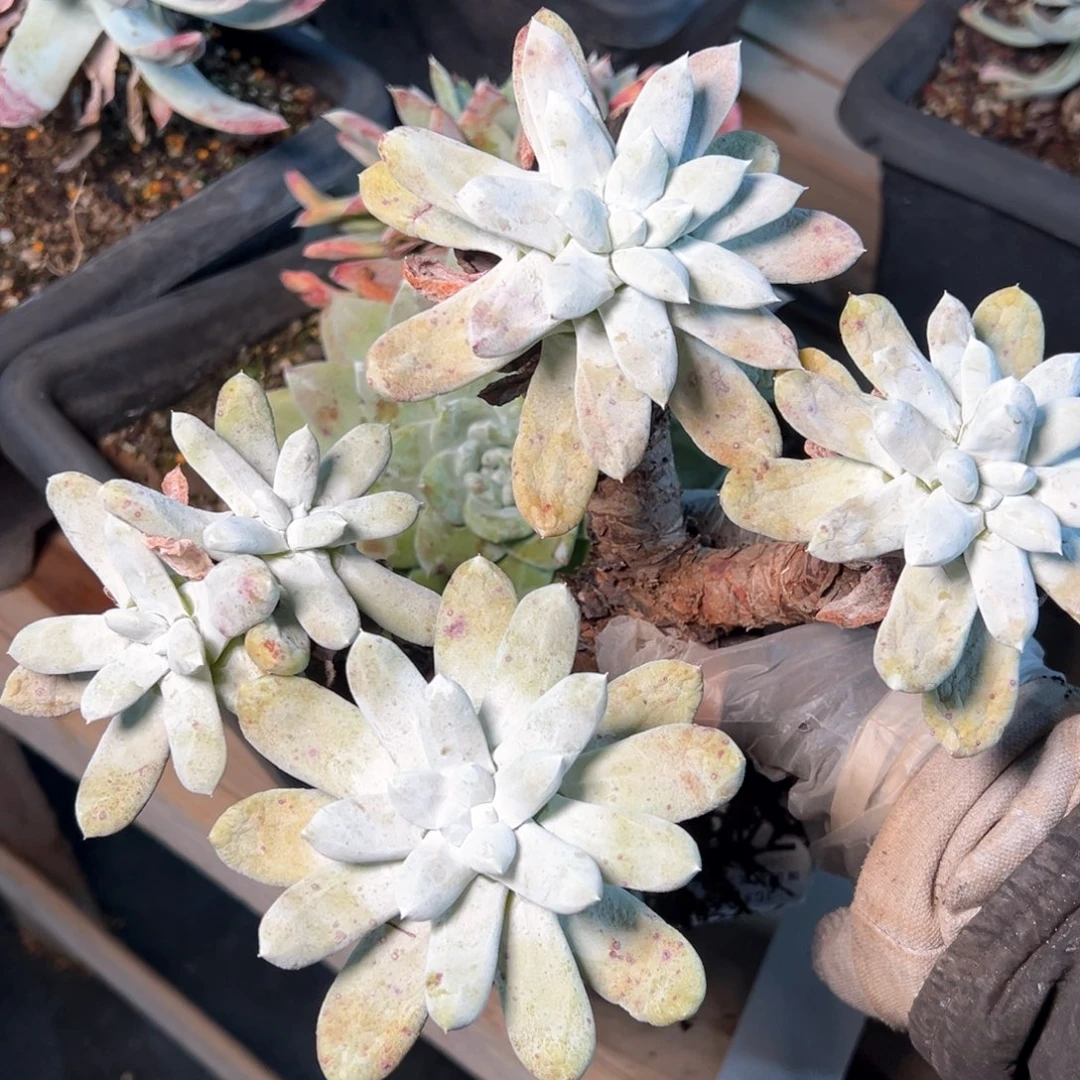 7478哈哈哈哈哈哈哈哈哈