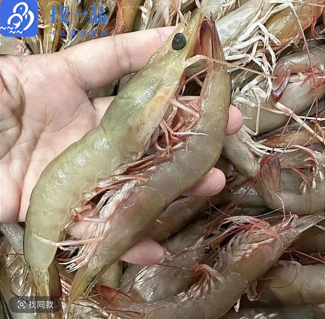 【找一品】 汕尾马宫港 本港野生沙卢虾