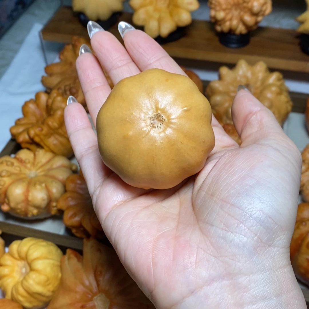 开场福利不退不换