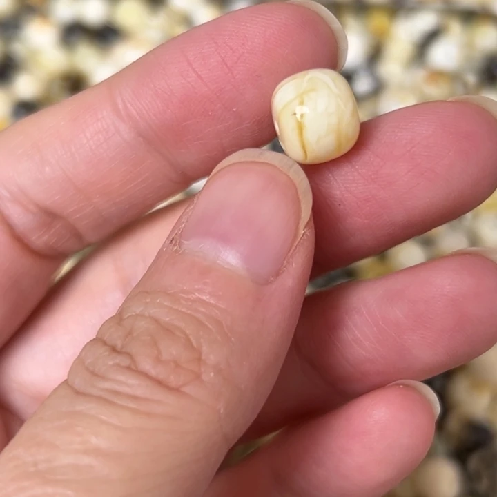 蜜蜡未镶嵌裸石10mm一个