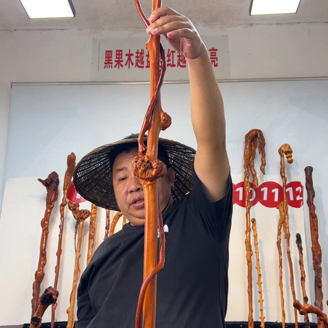 蚊***兵其他黑果木黑果木826