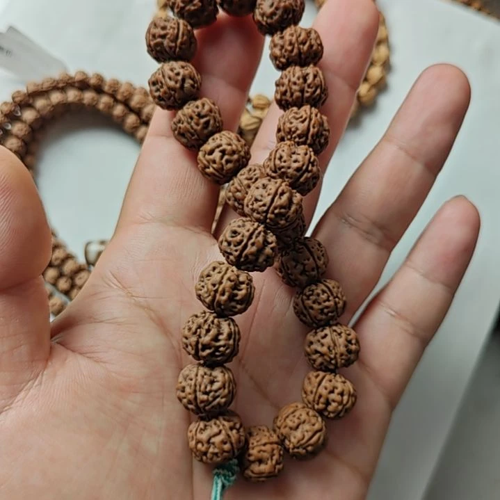 别***子金刚菩提手串老树王13