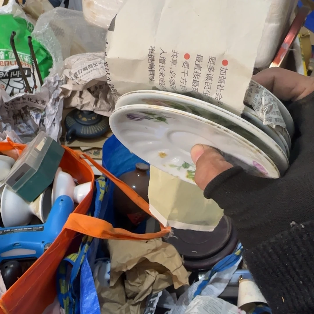 信***变杂色豆（科檀/科特迪瓦檀木）