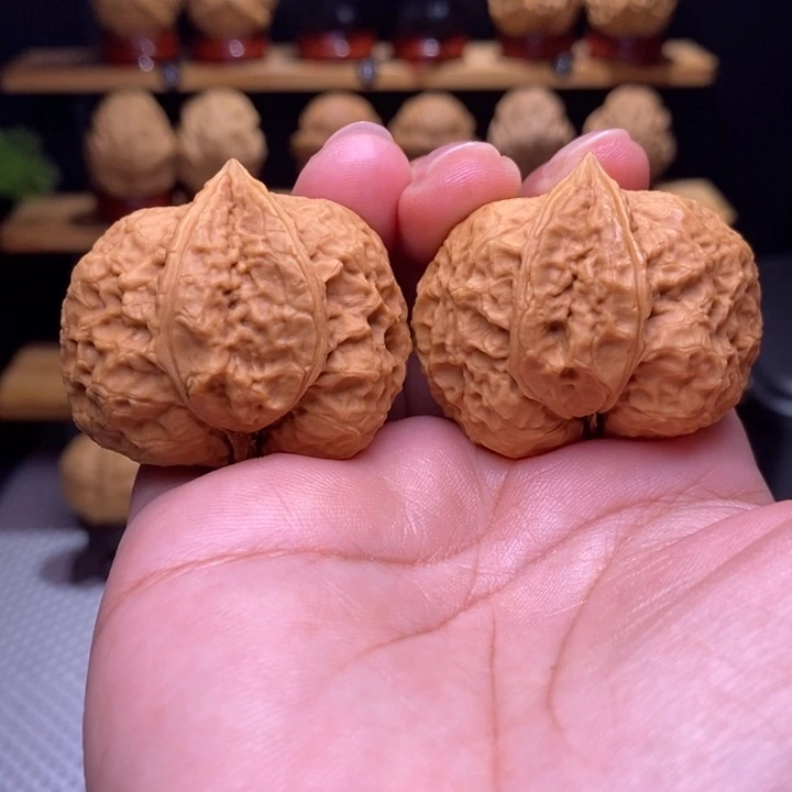 木质类云铁古龙生命35号41尺