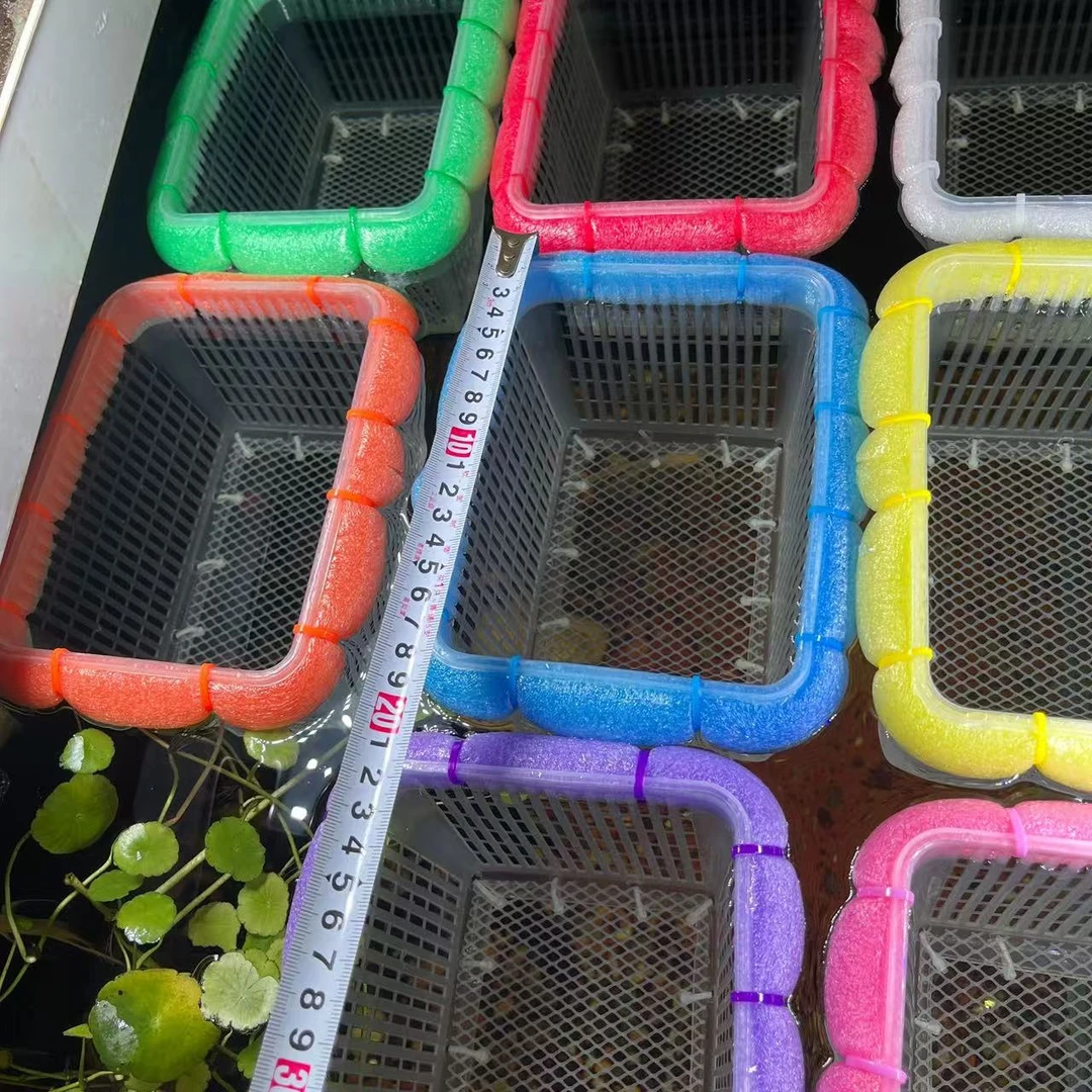 孔雀鱼繁殖隔离筐