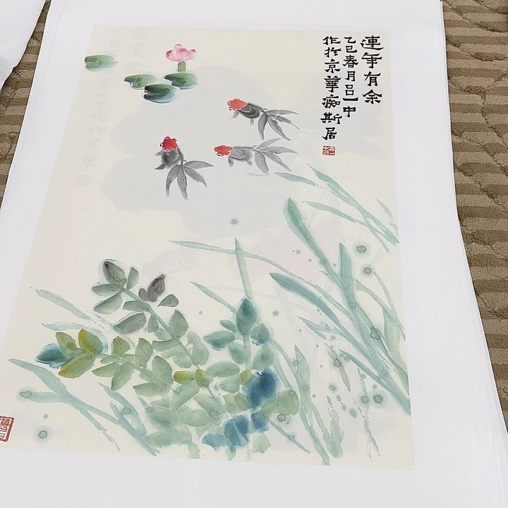 国画花鸟等多种鸟类和鸟类为