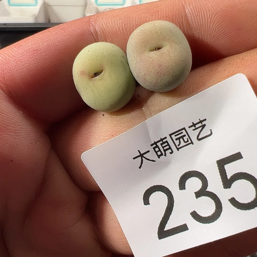 0000235 一物一拍……