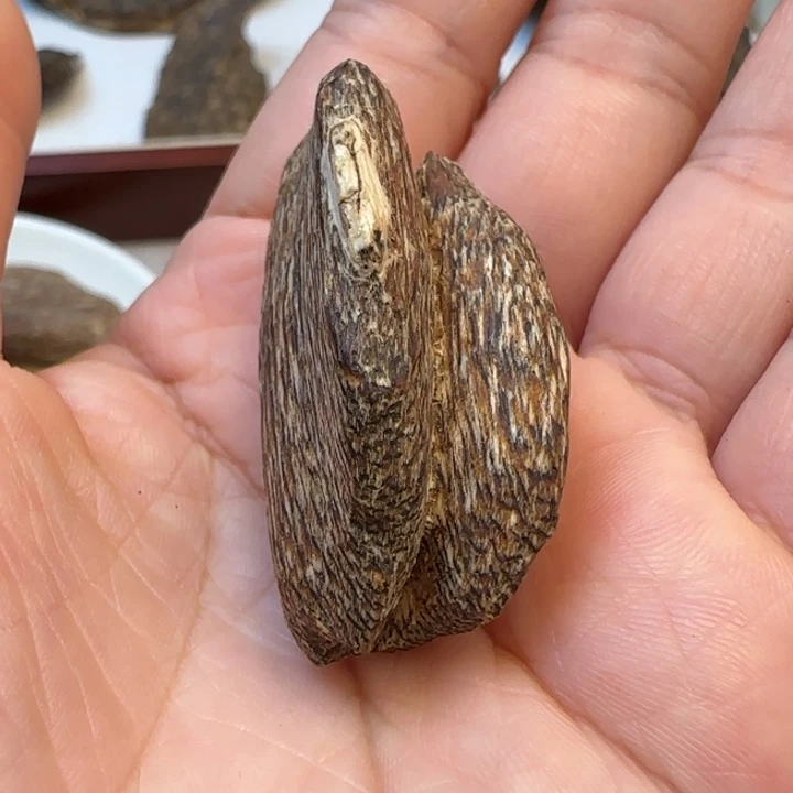 摆件沉香海南野生瓜子2.7克