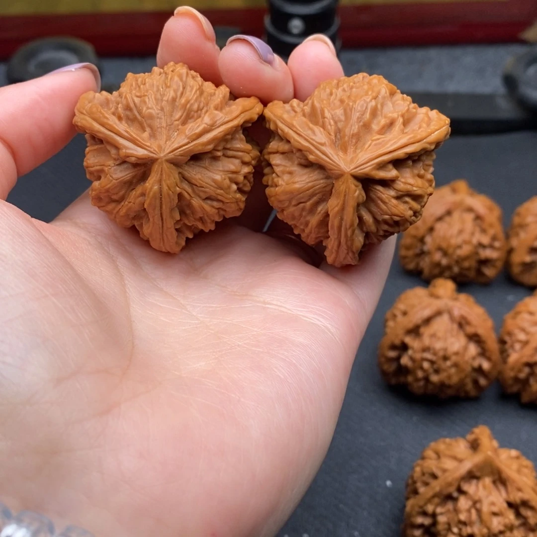 *️白狮子11111111111