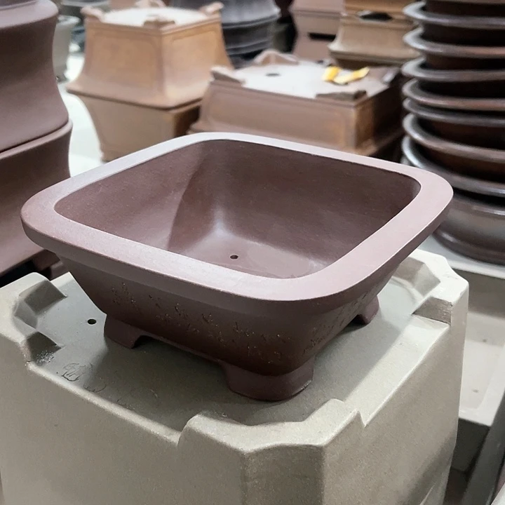 紫砂花盆南****柿这个月我就没去