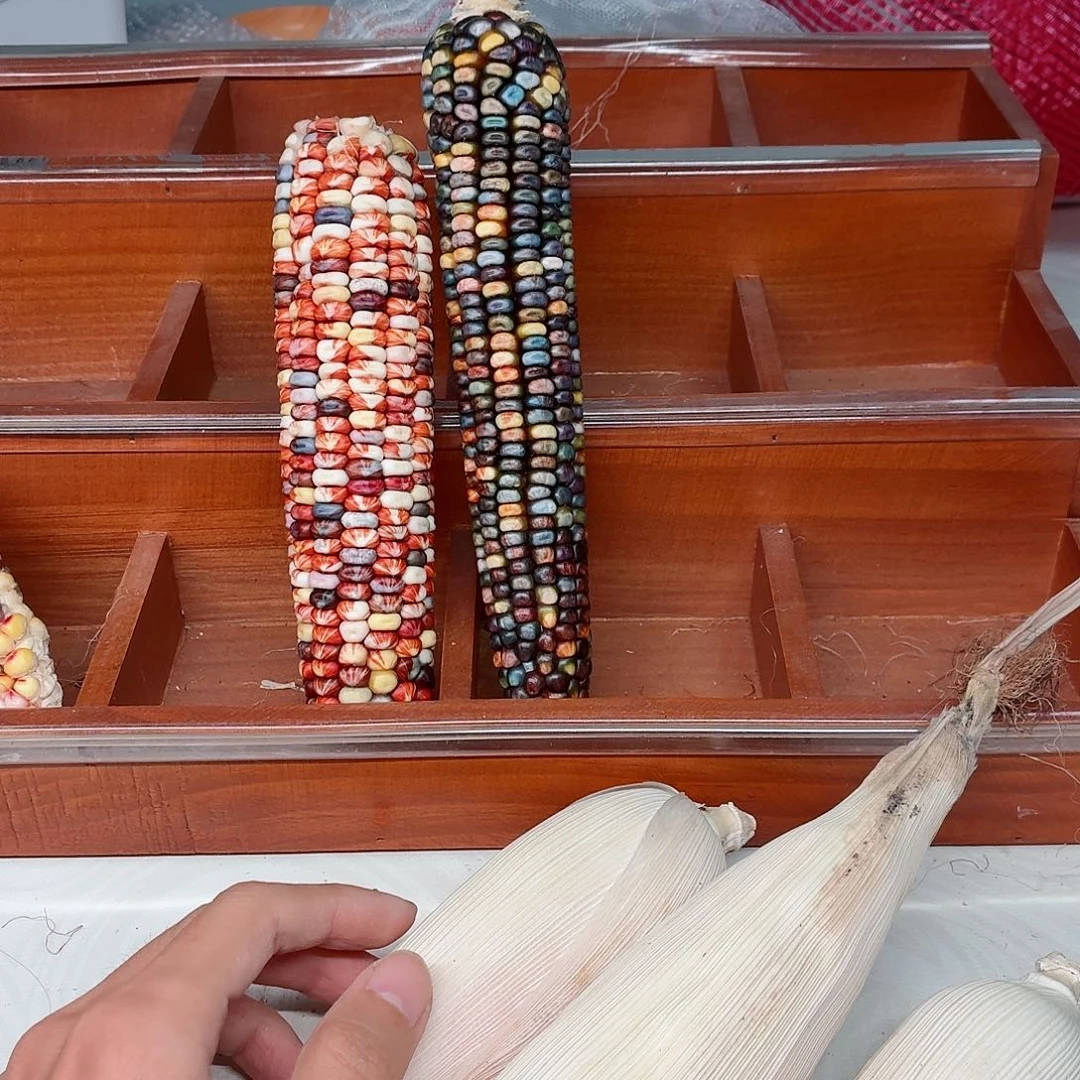 名***字白玉菩提吊坠文玩玉米毛料精品