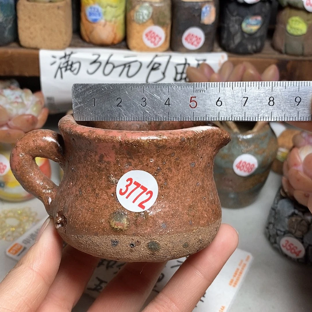 红陶拍5送一个小