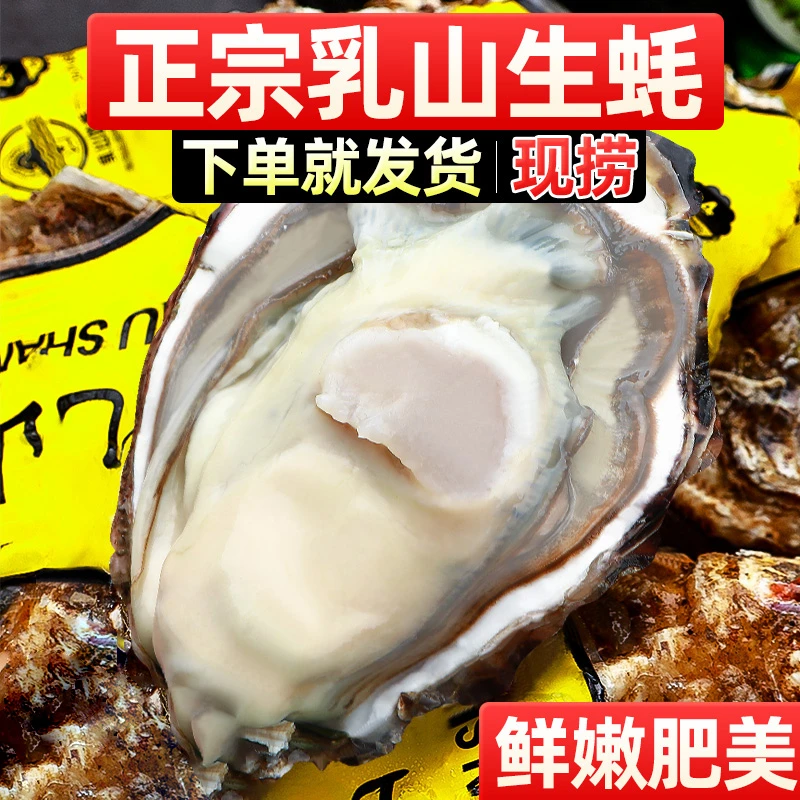 【星仔专属】5斤精品乳山生蚝鲜活牡蛎原产地直发顺丰现捕新鲜肥美