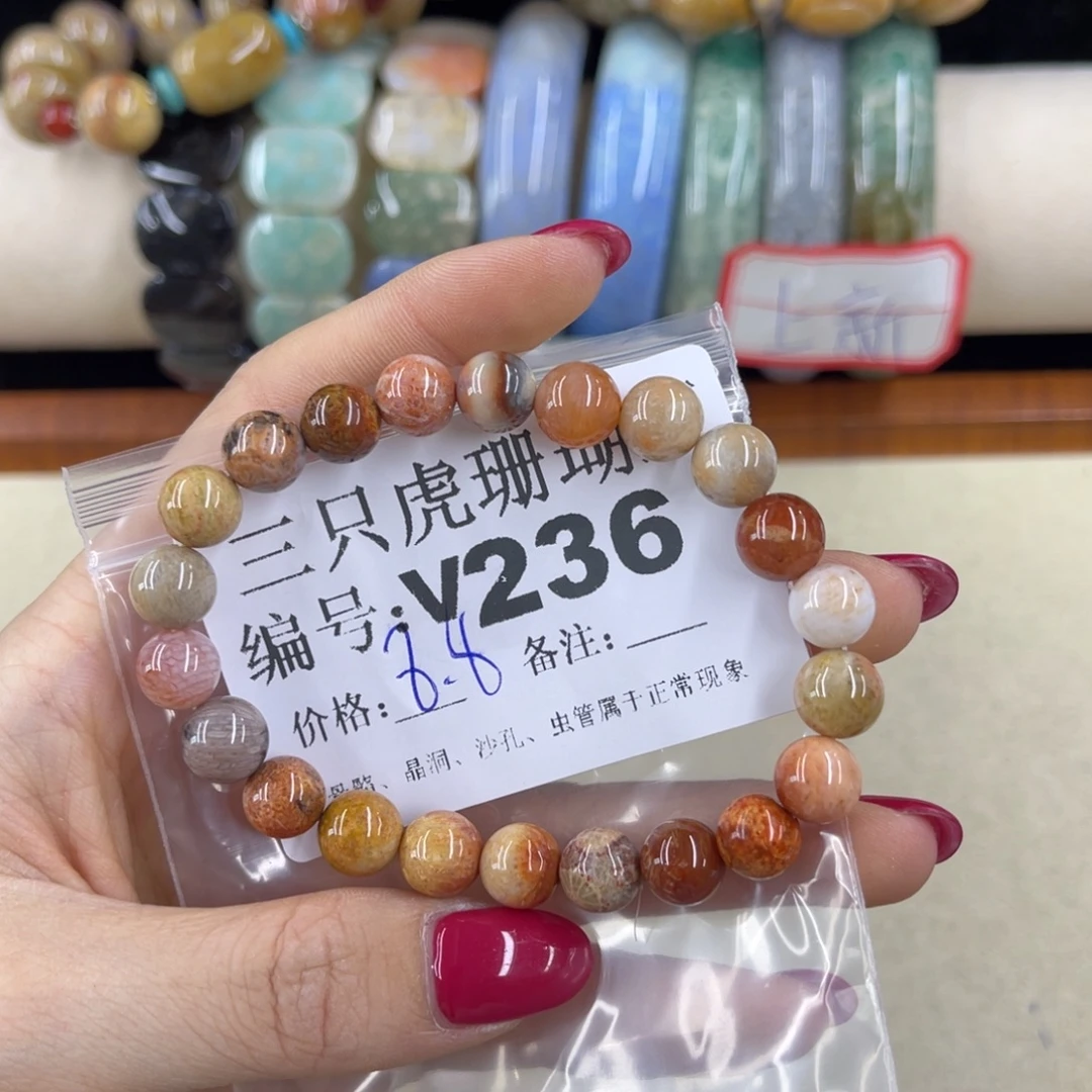 姬***路硅化珊瑚（珊瑚玉）h未镶嵌