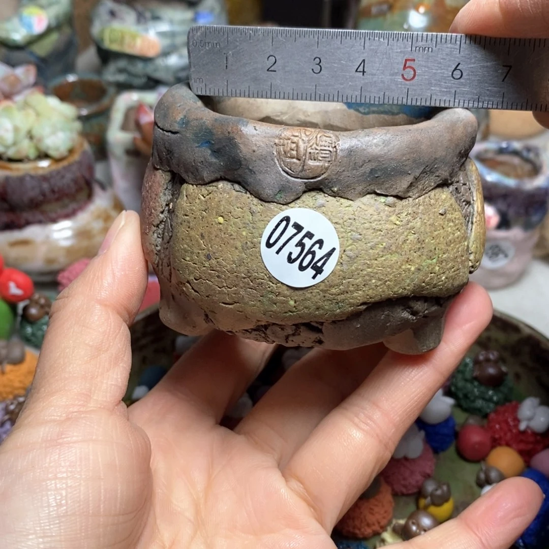 花盆拍3送一个小礼物