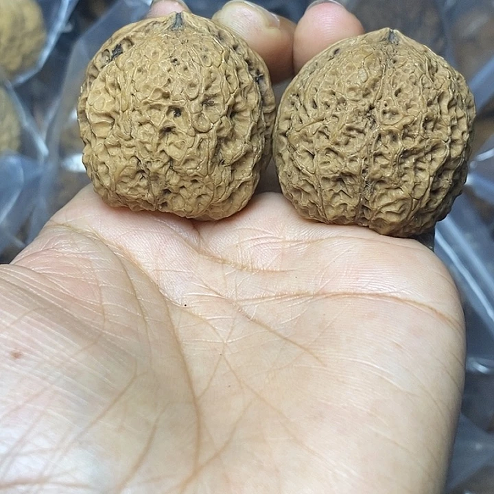 文玩核桃把件云南铁核桃43