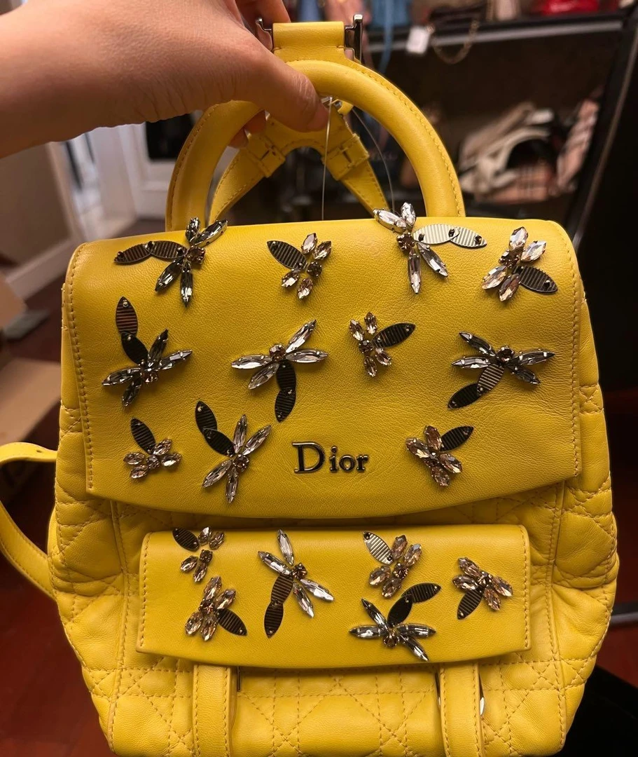 95新 迪奥 双肩包 16466