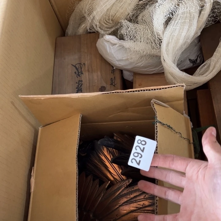 飞***飞2586655544455888555