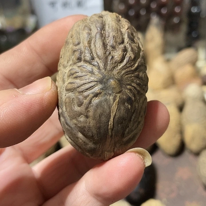 人***途千眼菩提吊坠天然千眼菩提不退不换